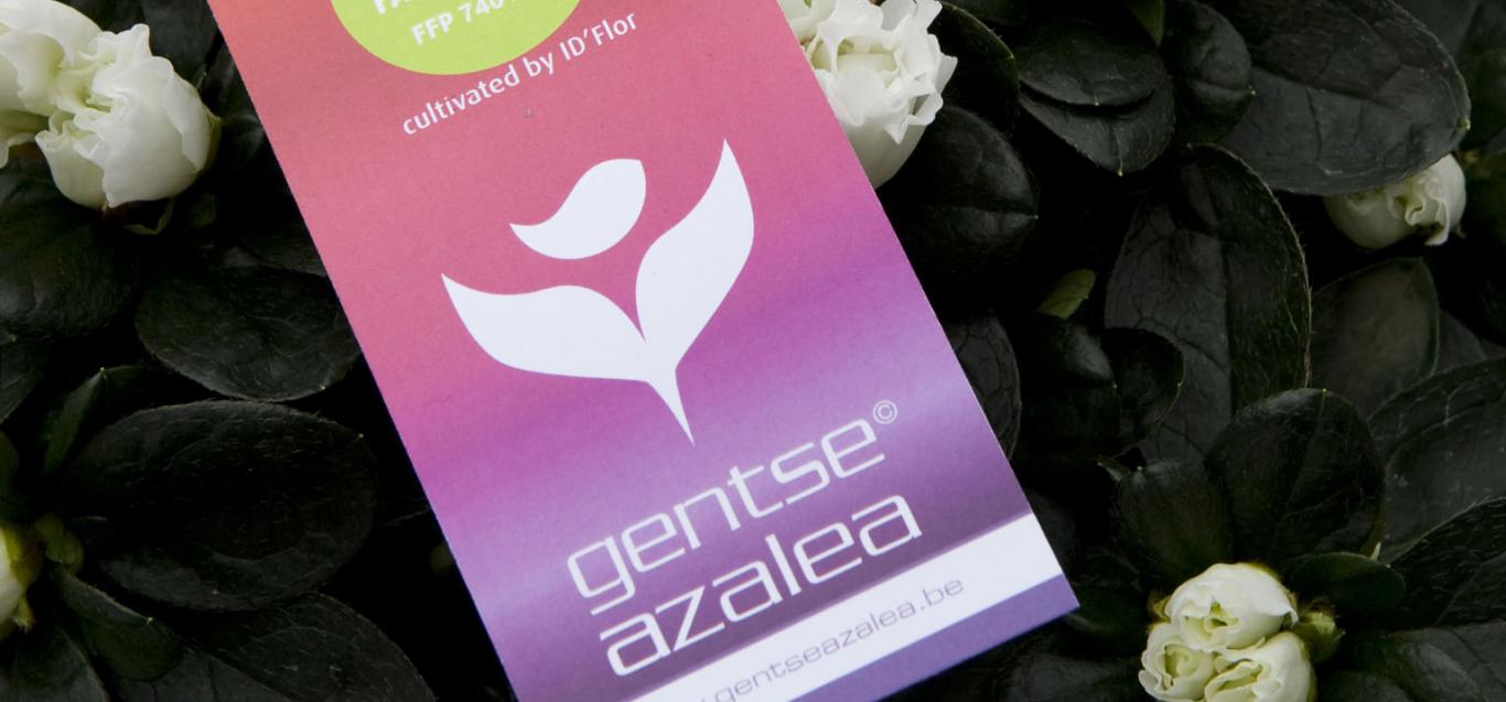 Gentse Azalea label