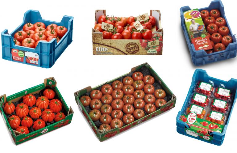 Tomaten sind der Verkaufsschlager Nummer eins bei der Reo Veiling