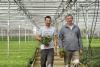 Horticulture: Belgian supplier offers personal service